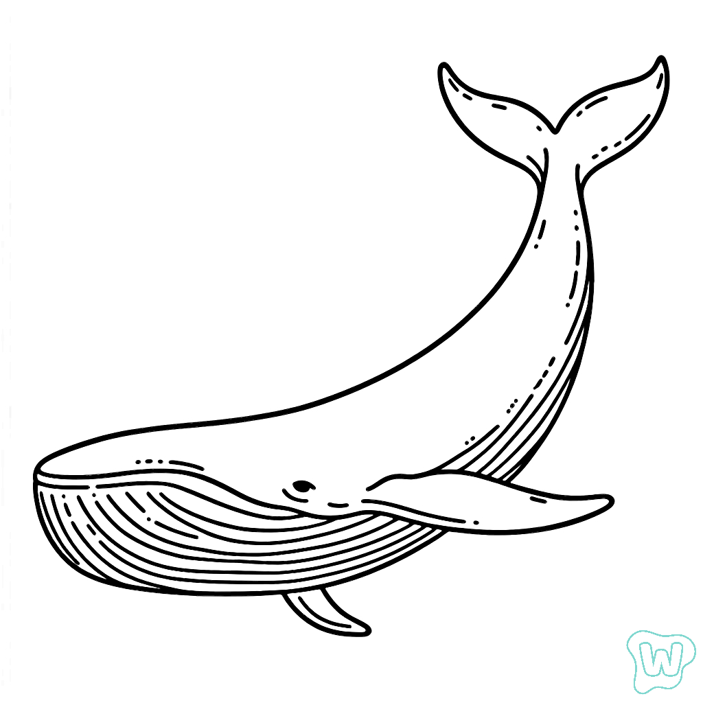 Coloriages De Baleines Coloriage Baleine Imprimer Dessin Baleine Coloriages De Baleines Coloriage Baleine Imprimer Dessin Baleine