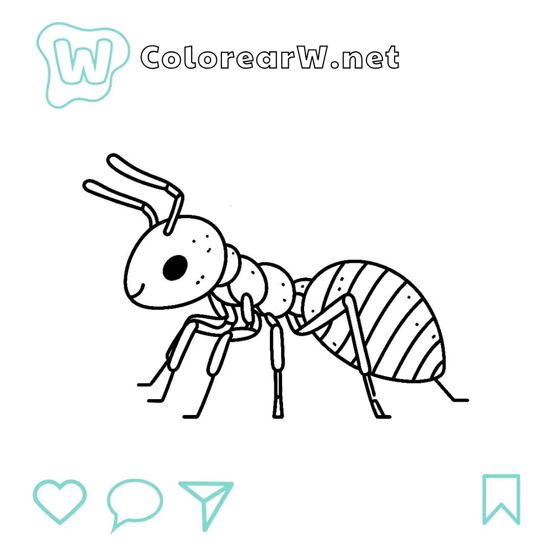 49 Hormiga Para Colorear Dibujos Para Imprimir PDF