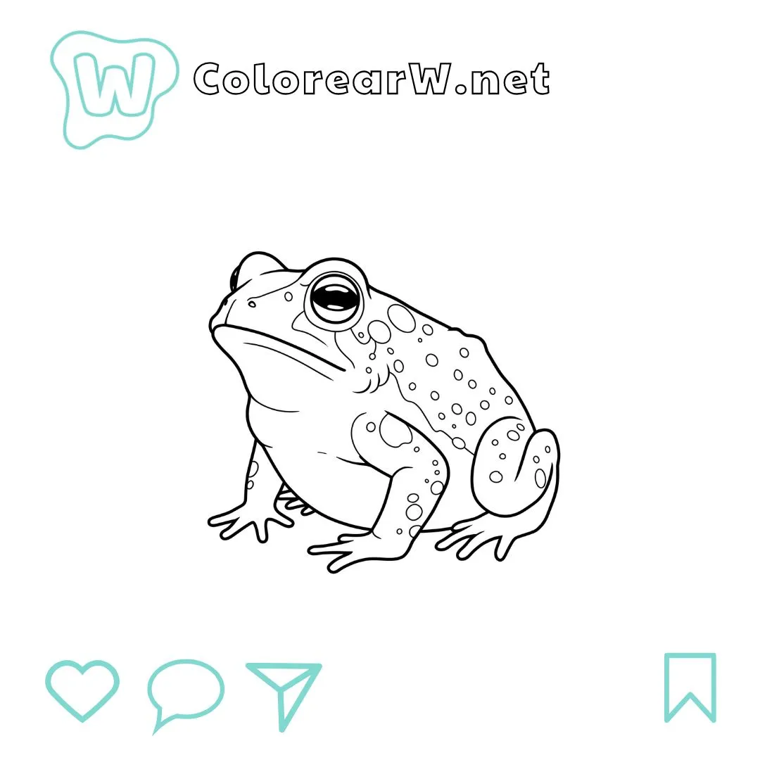 22 Mudar Para Colorir Desenhos Em PDF Gr tis