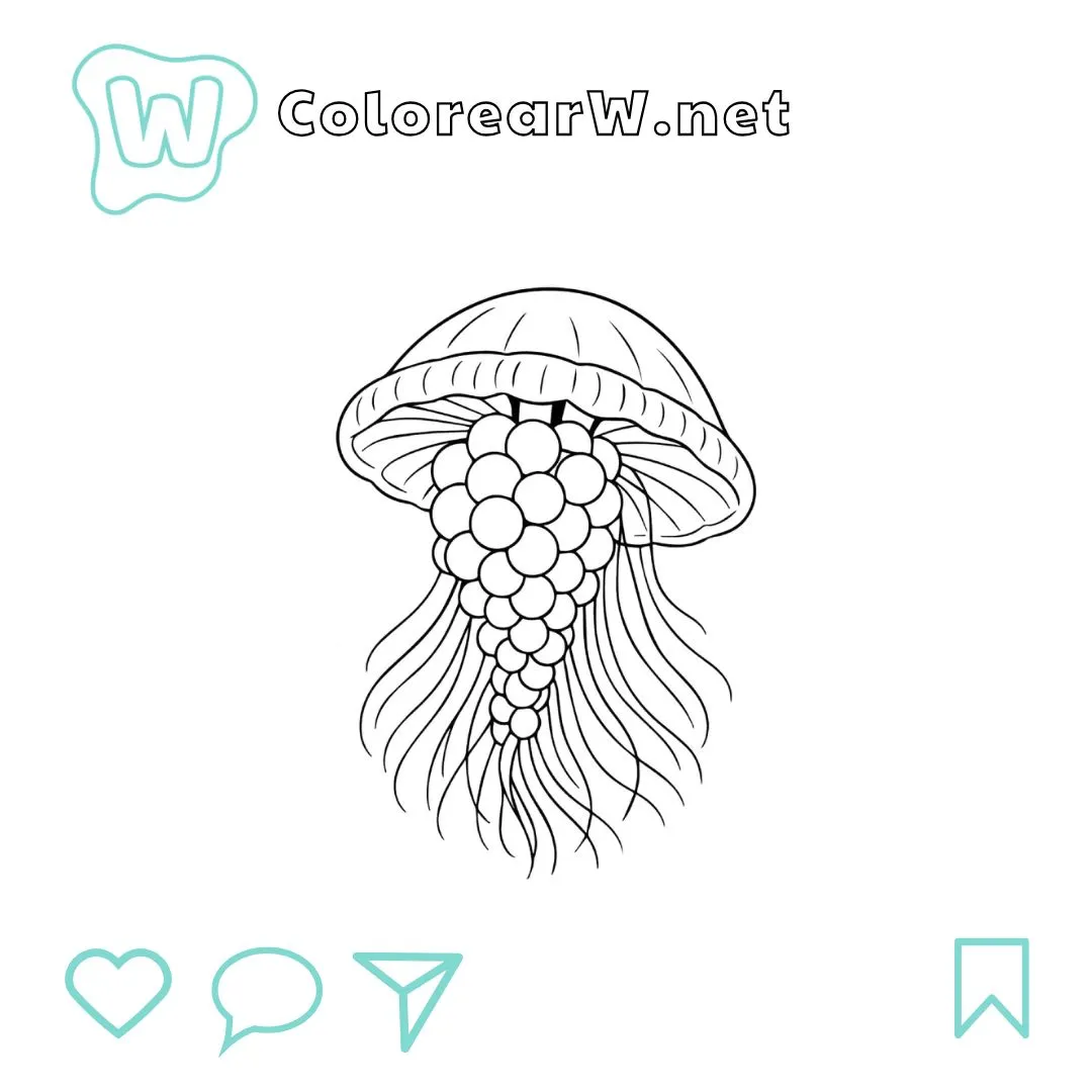 Graipussi Medussi para colorear (PDF para imprimir gratis) thumbnail