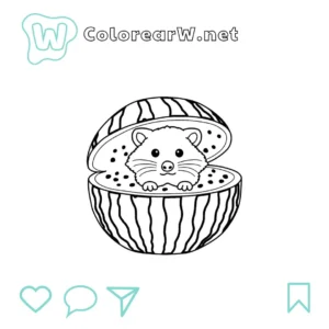 Raccooni Watermelunni para colorear (PDF para imprimir gratis) thumbnail