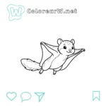 Ardilla Voladora thumbnail