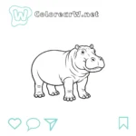 Hipopótamo thumbnail