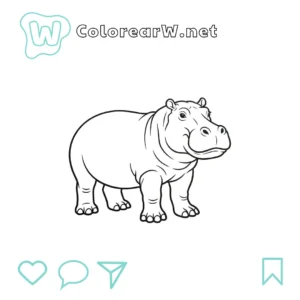Hipopótamo para colorear (PDF para imprimir gratis) thumbnail