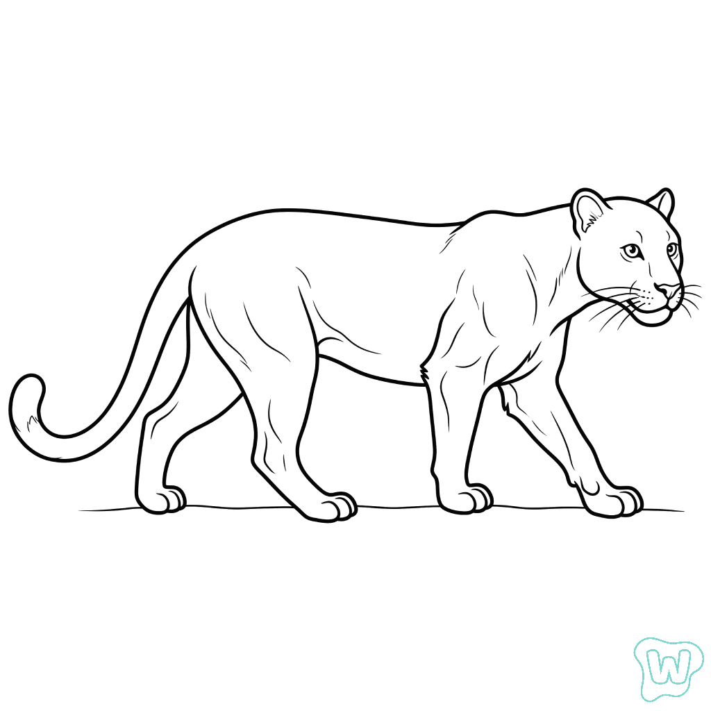 colorear y Imprimir PDF gratis Leopardo