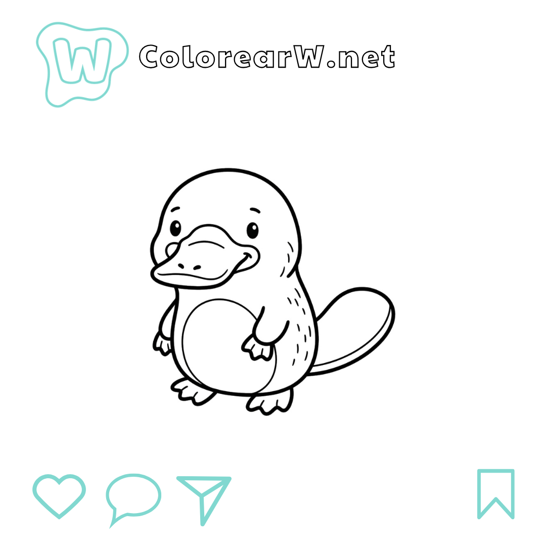 Ornitorrinco para colorear (PDF para imprimir gratis) thumbnail