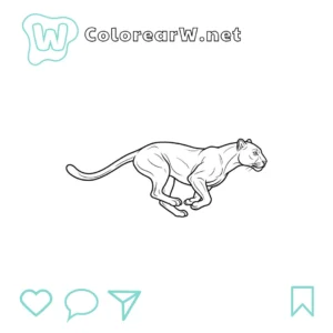 Pantera para colorear (PDF para imprimir gratis) thumbnail