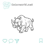 Rinoceronte thumbnail