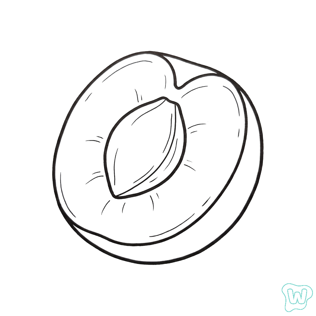 Albaricoque páginas para colorear fáciles