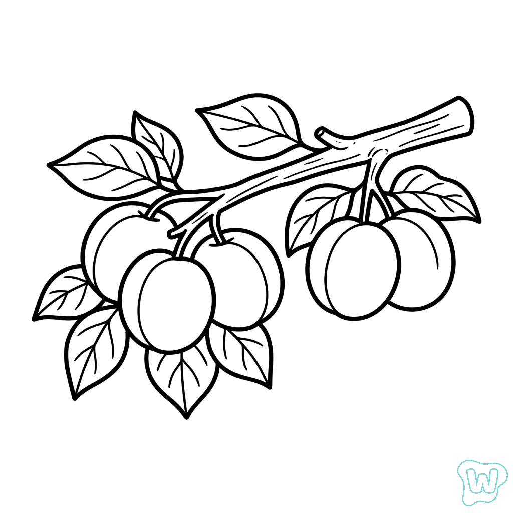Albaricoque páginas para colorear gratis