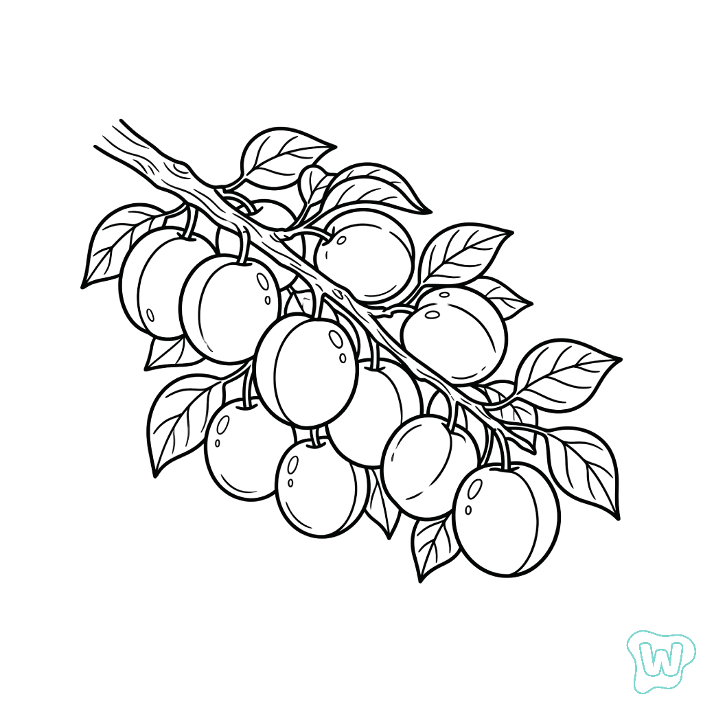 páginas para colorear Albaricoque imprimibles