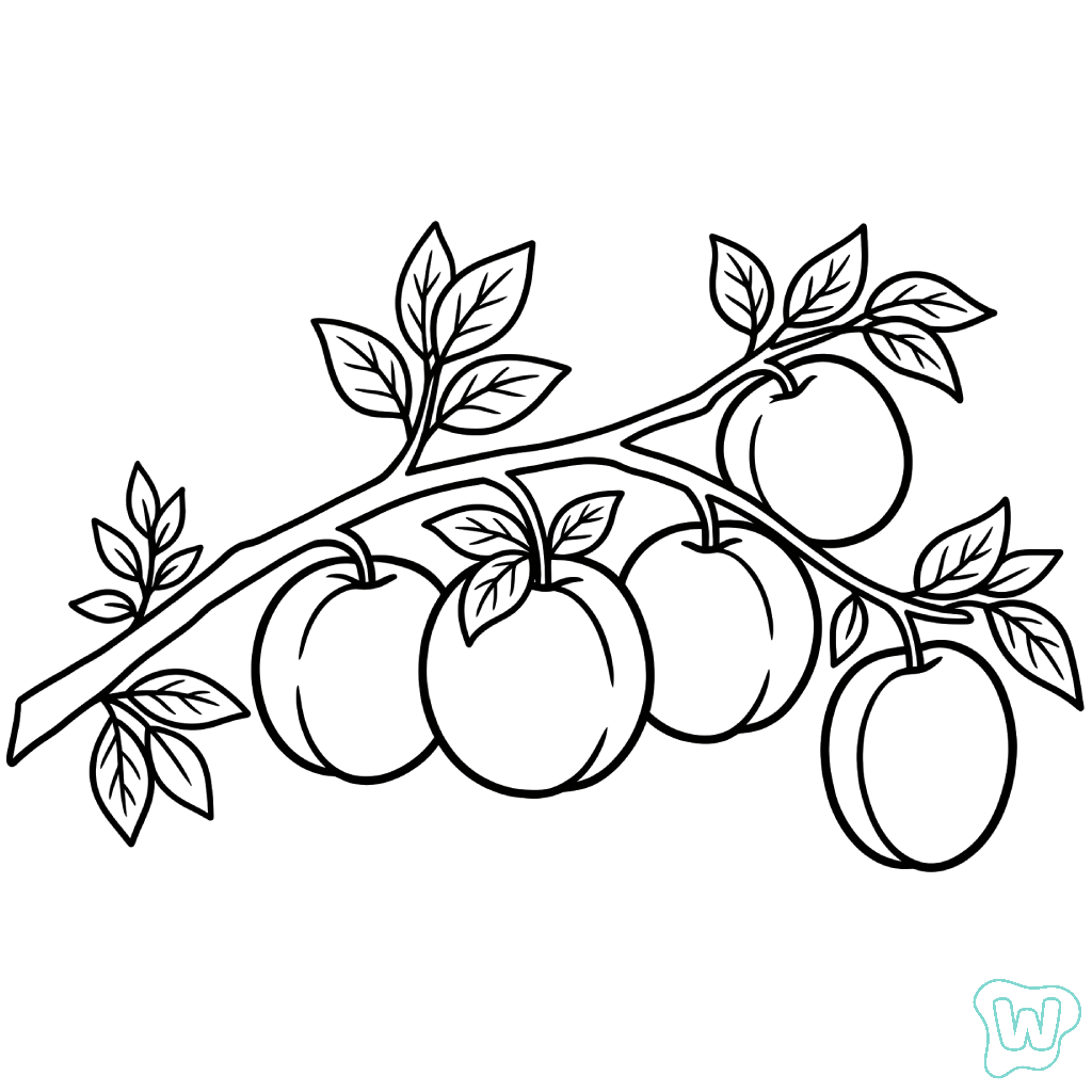 Albaricoque páginas para colorear para adultos pdf