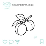 Albaricoque thumbnail