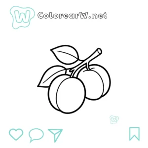 Albaricoque thumbnail