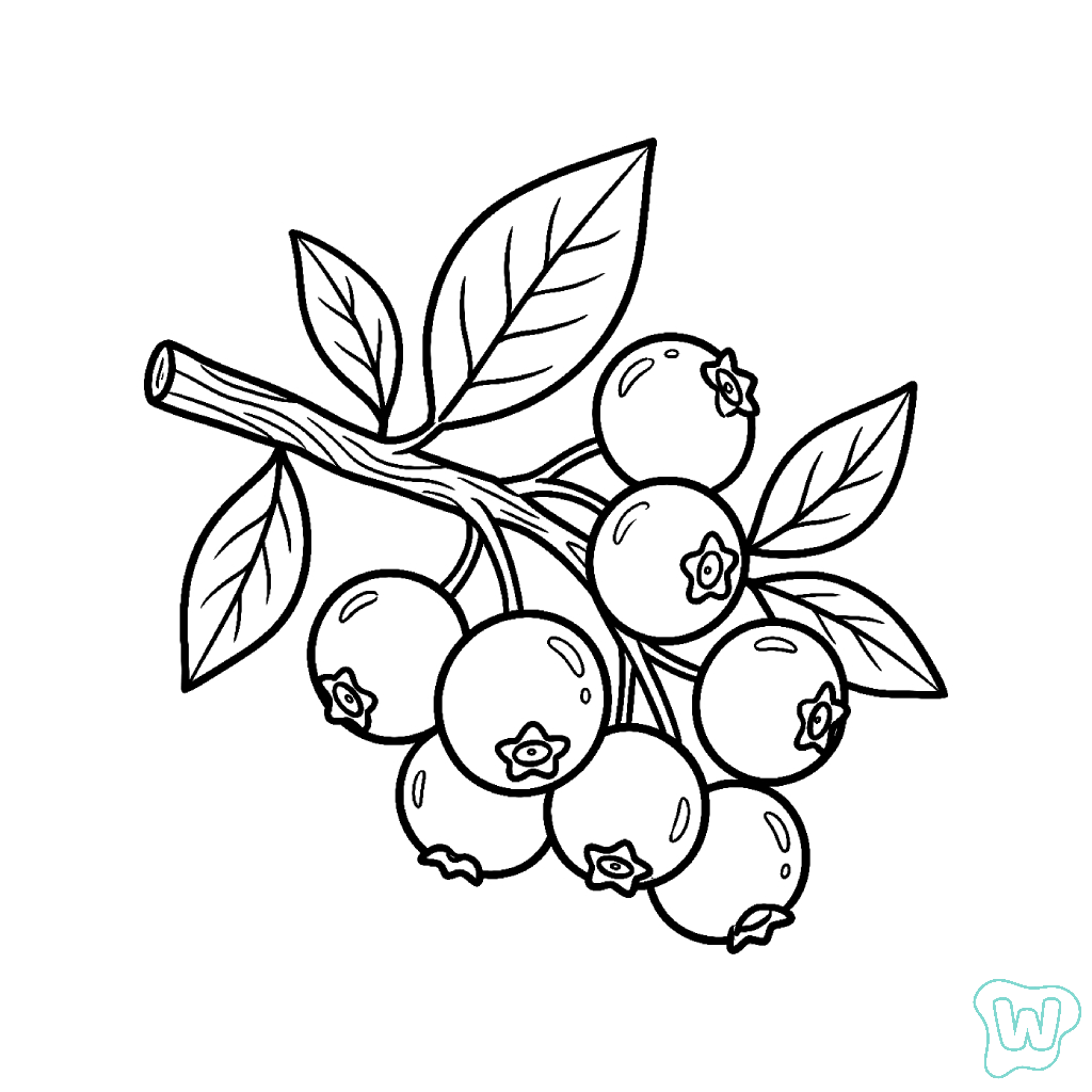 colorear y Imprimir PDF Arándano