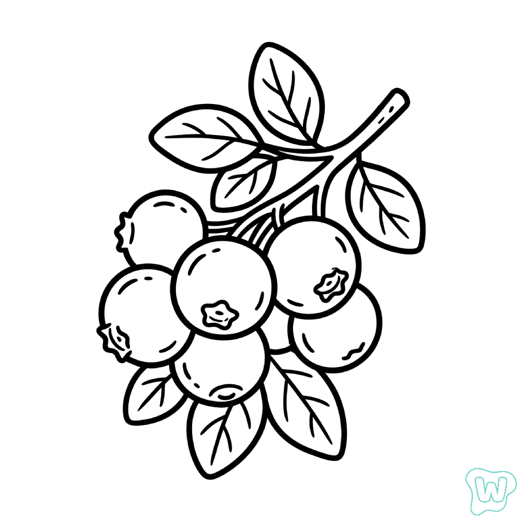 Arándano para colorear