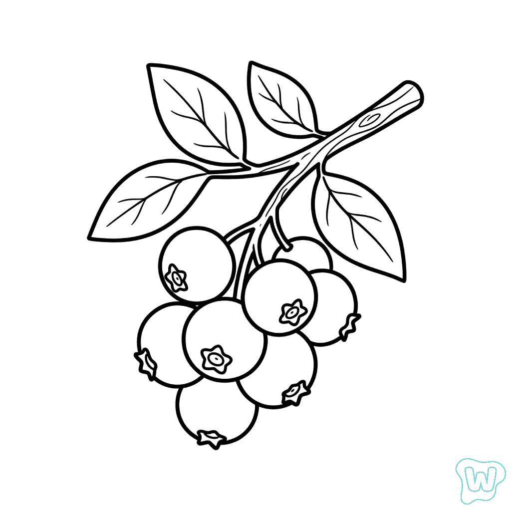 Arándano páginas para colorear pdf