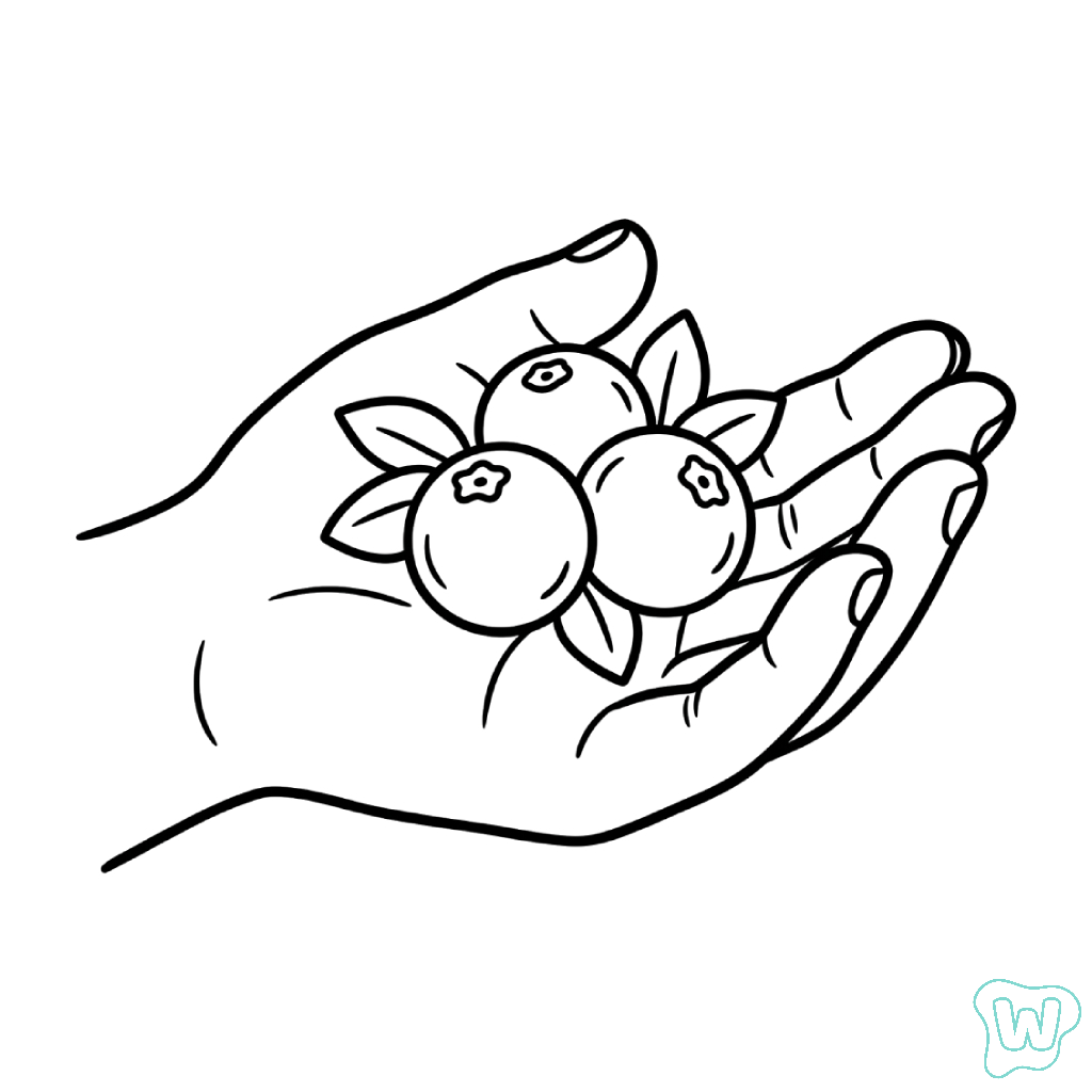 Arándano páginas para colorear para adultos pdf