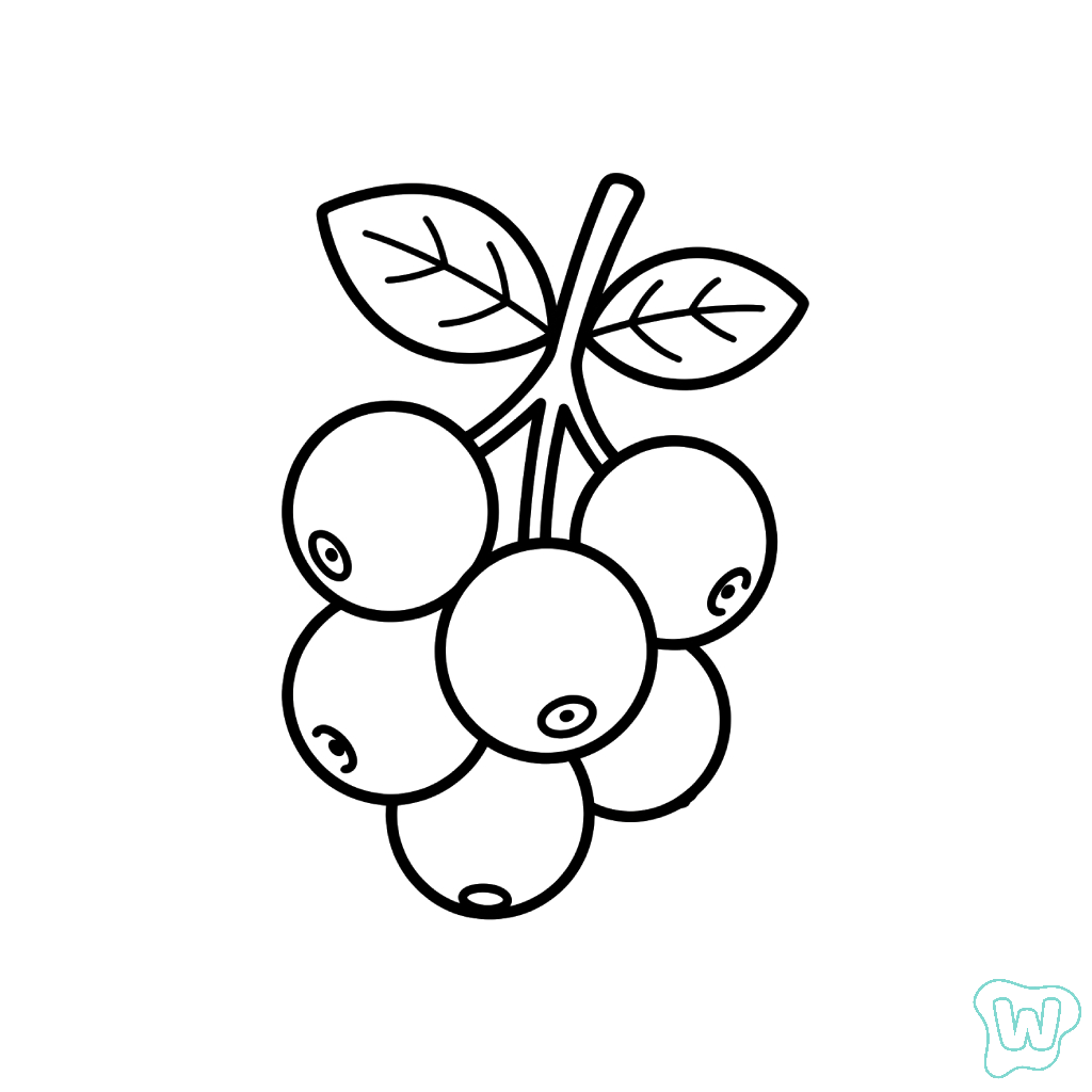 Arándano páginas para colorear para niños 1