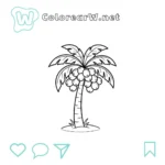 Árbol de Coco thumbnail