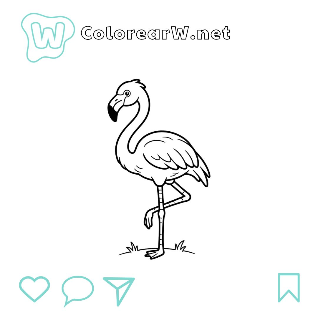 Flamenco para colorear (PDF para imprimir gratis) thumbnail