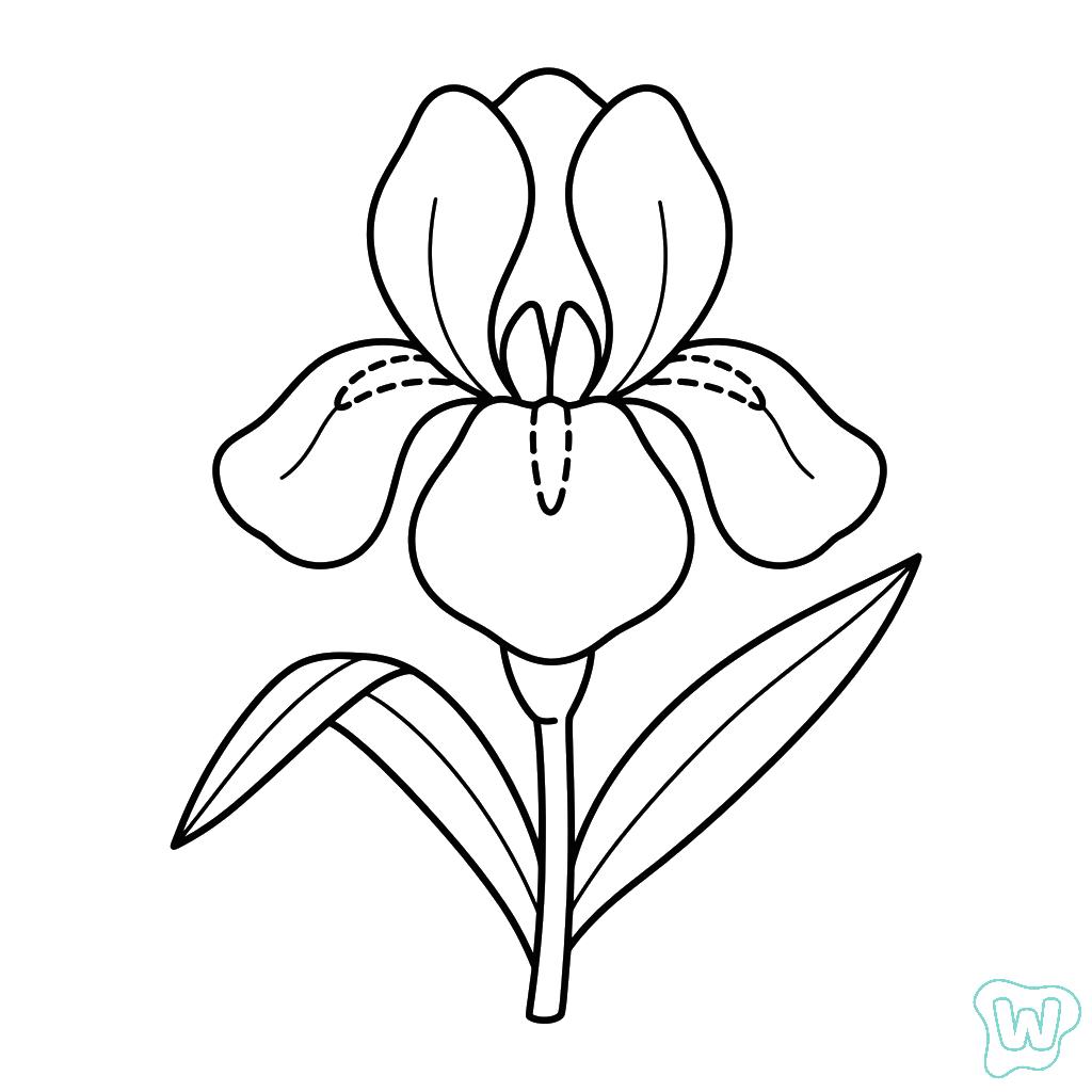 dibujos para colorear Iris