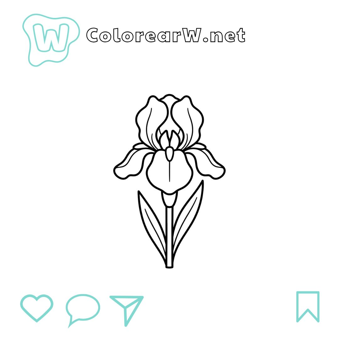 Iris para colorear (PDF para imprimir gratis) thumbnail