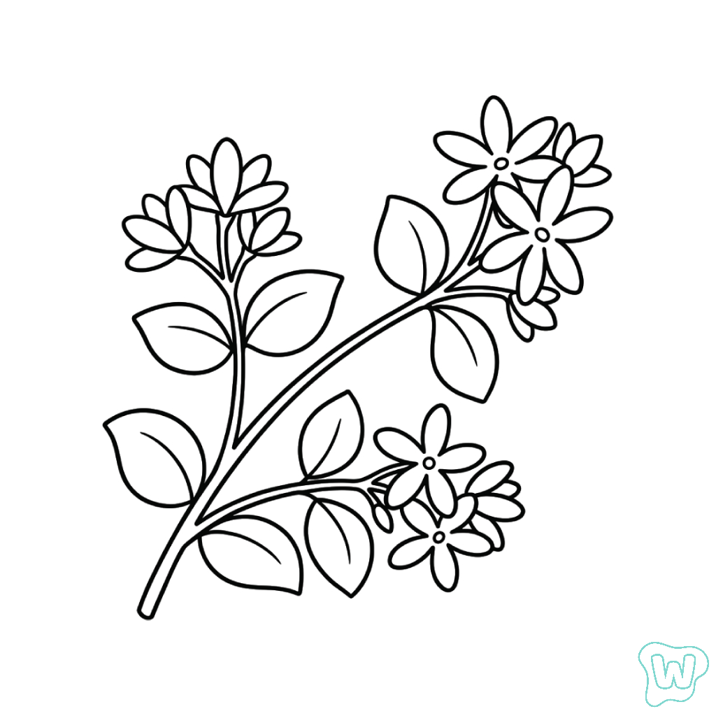 Jazmín páginas para colorear para adultos