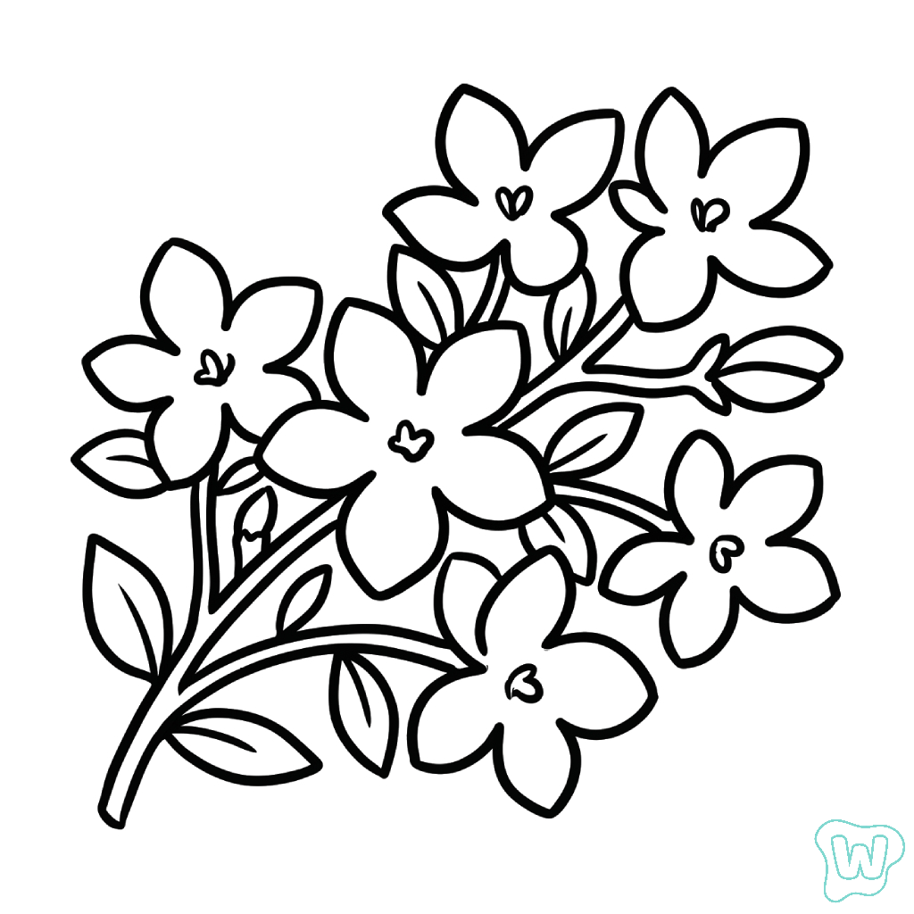 lindas páginas para colorear Jazmín