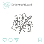 Jasmine küçük resmi