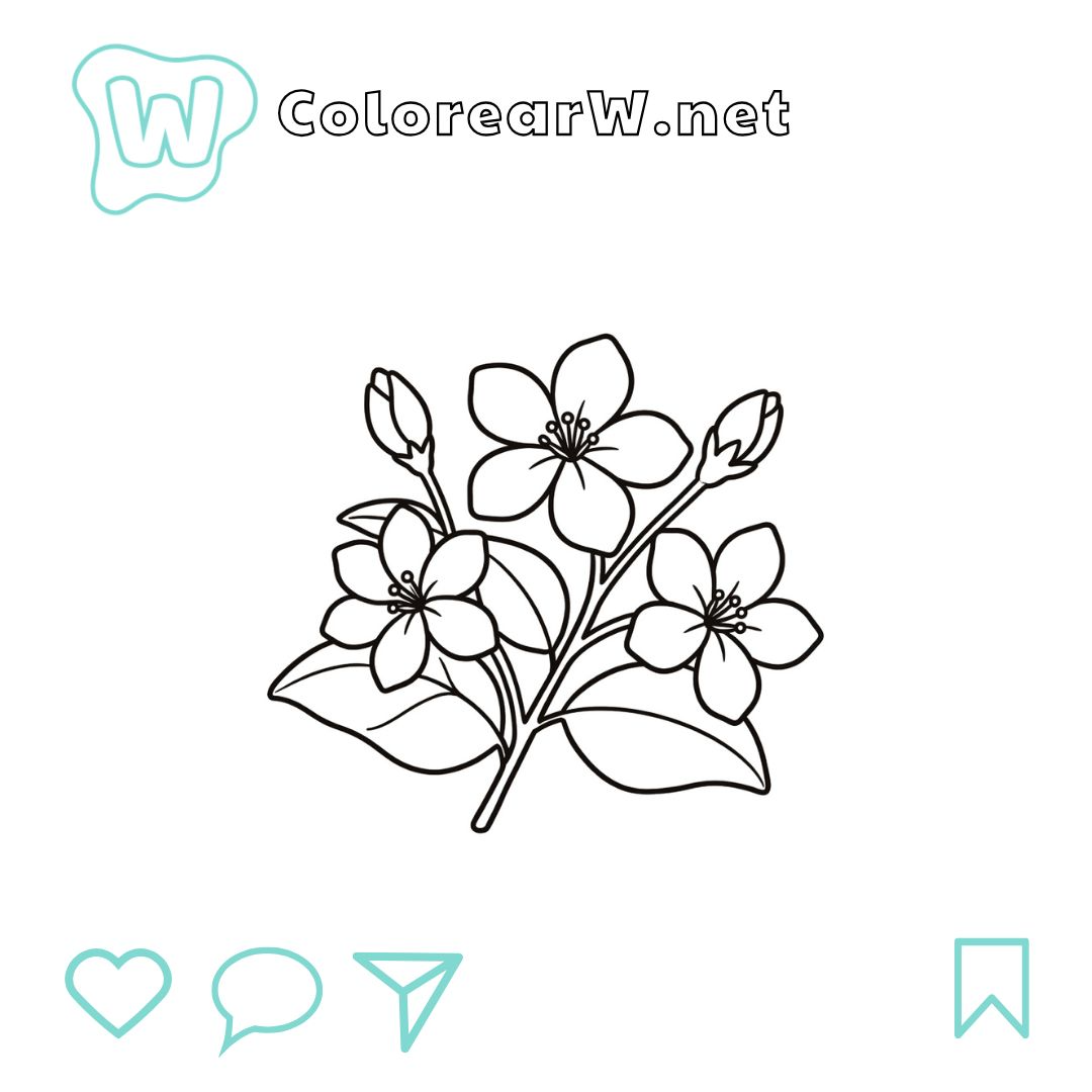 Jazmín para colorear (PDF para imprimir gratis) thumbnail