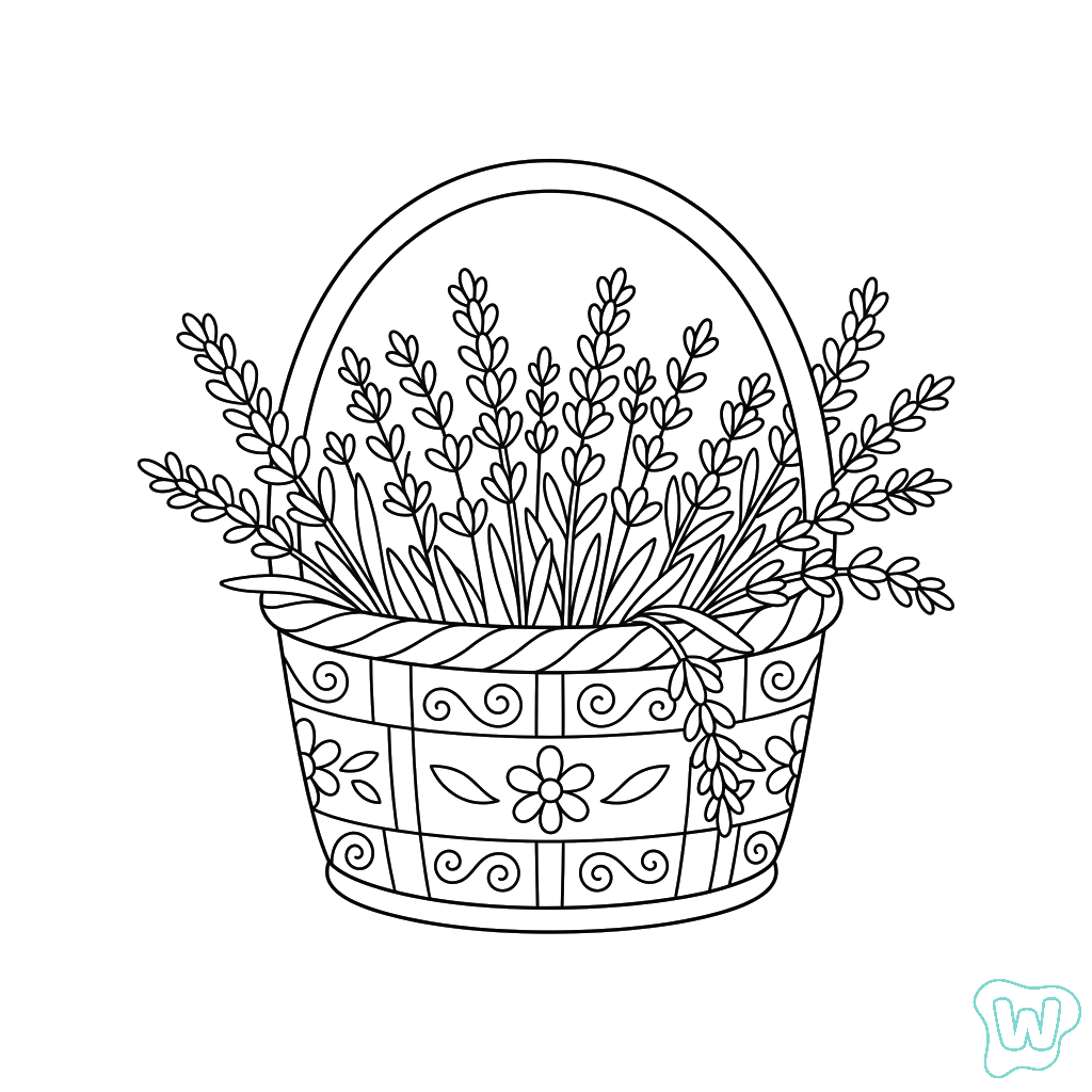 páginas para colorear Lavanda 1