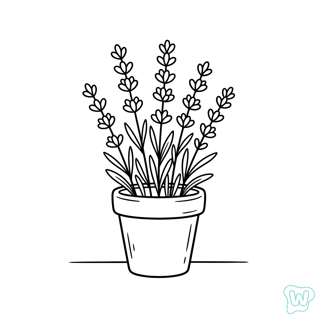 Lavanda para colorear y Imprimir PDF gratis