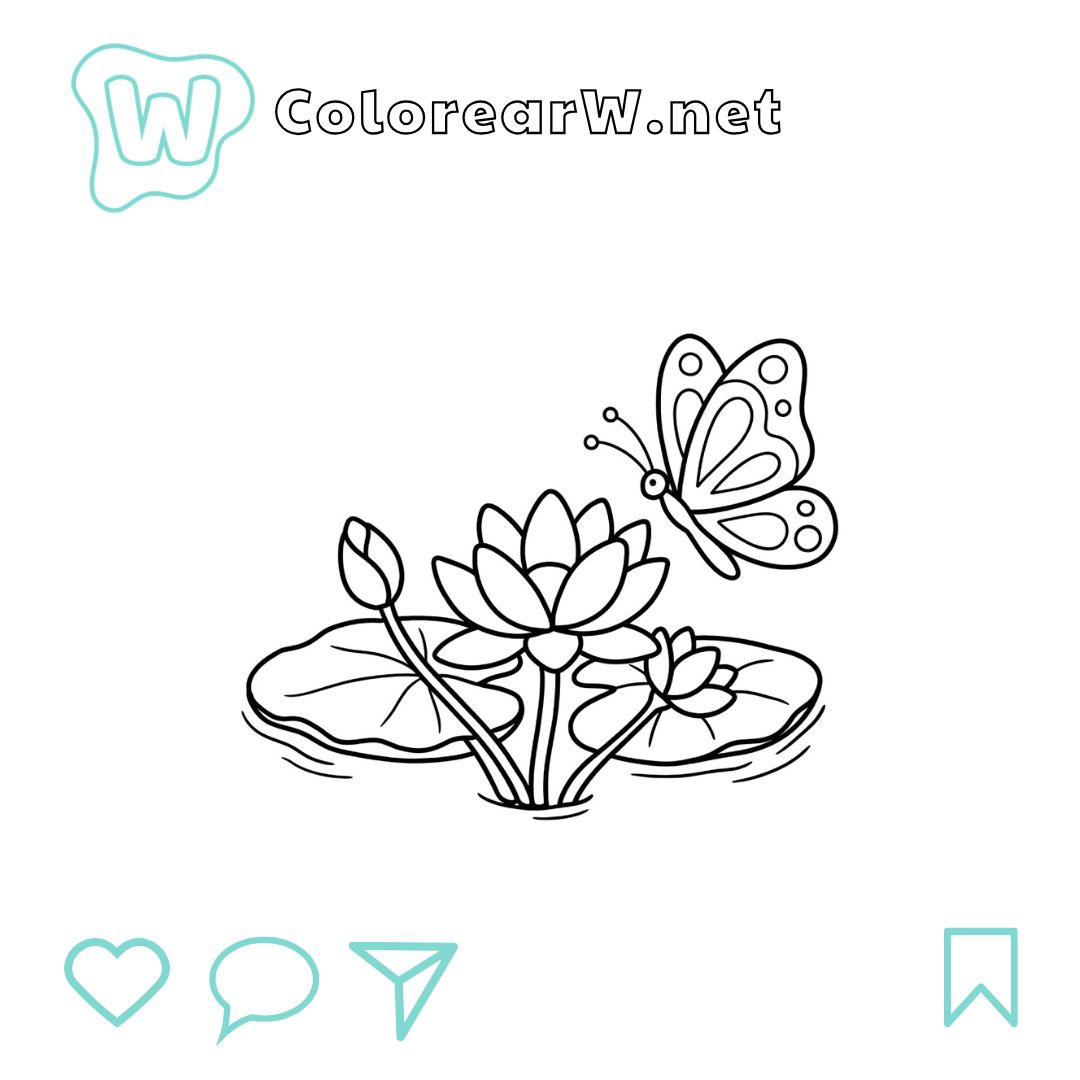 Nenúfar para colorear (PDF para imprimir gratis) thumbnail