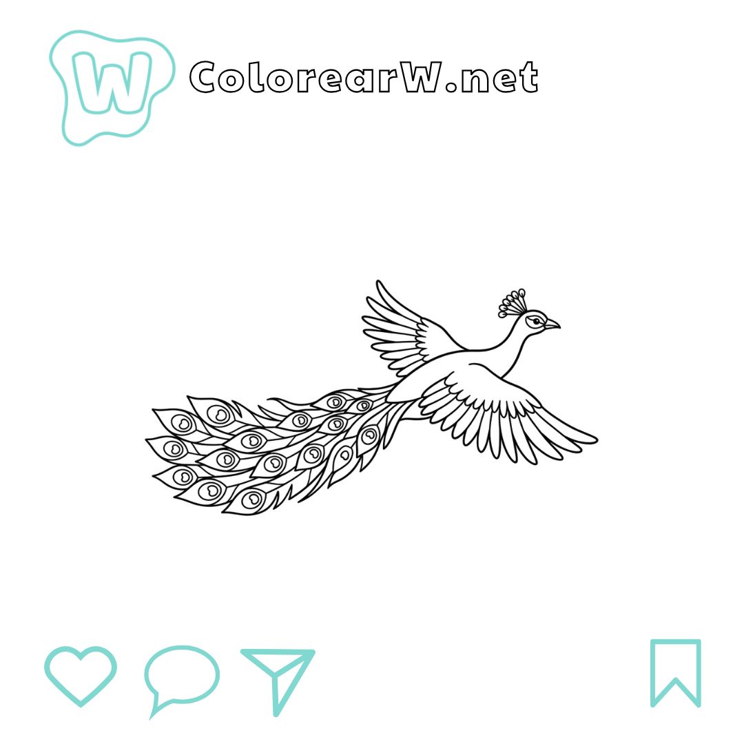 Pavo Real para colorear (PDF para imprimir gratis) thumbnail