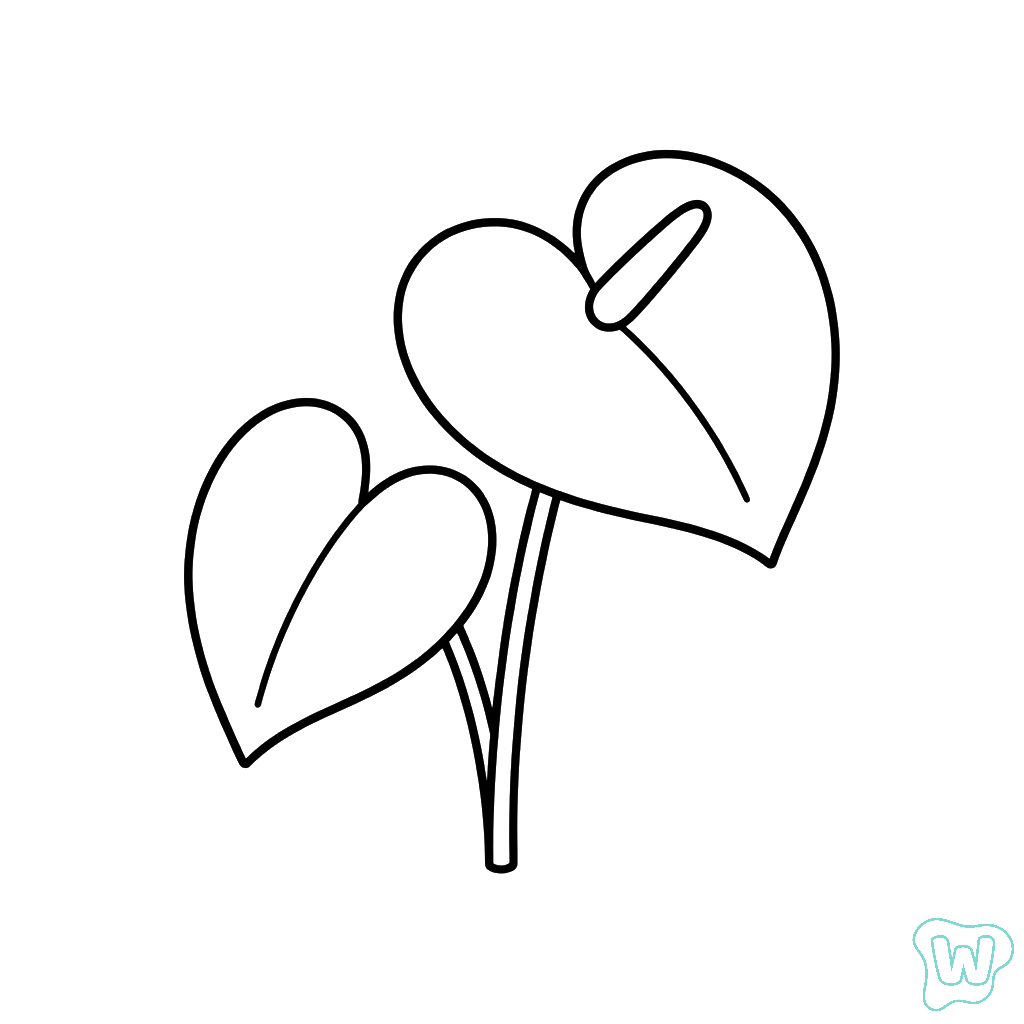 dibujos para colorear Anturio