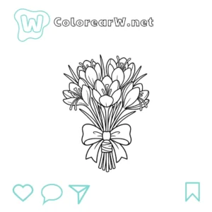 Azafrán Crocus thumbnail