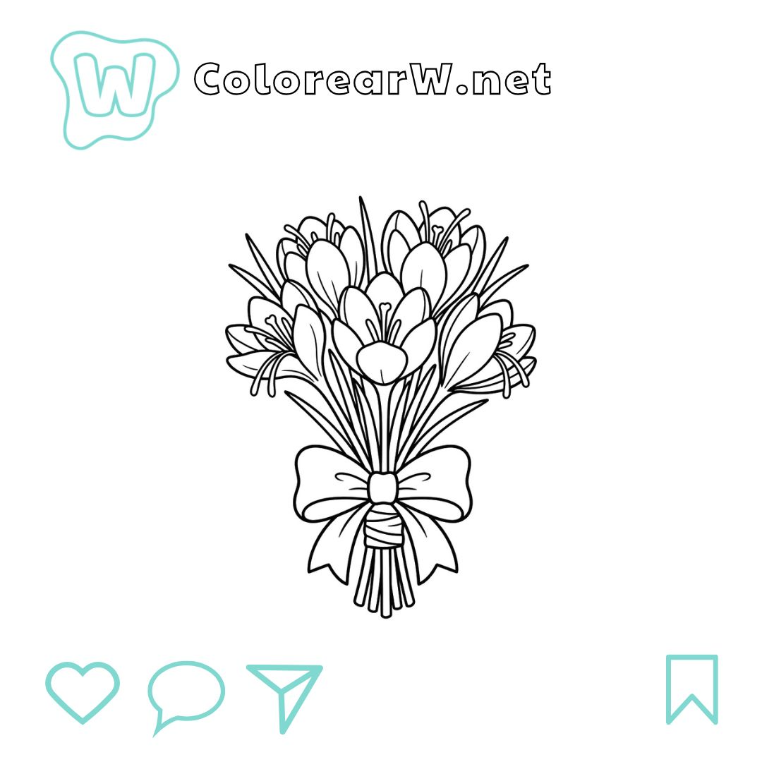 Azafrán Crocus para colorear (PDF para imprimir gratis) thumbnail