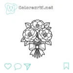 Camelia thumbnail