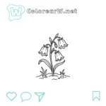 Campanilla Azul thumbnail