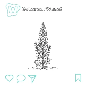 Delphinium thumbnail