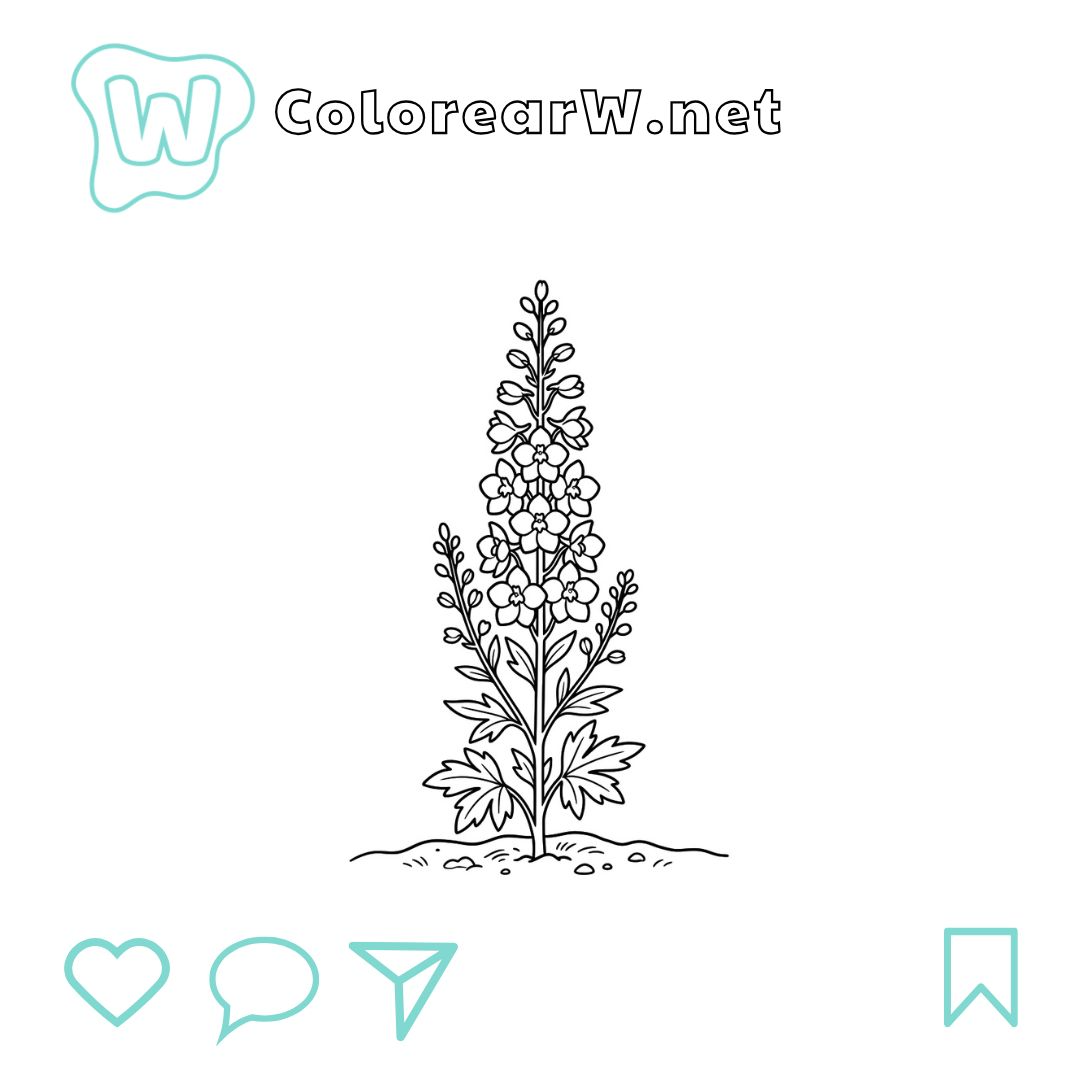 Delphinium para colorear (PDF para imprimir gratis) thumbnail