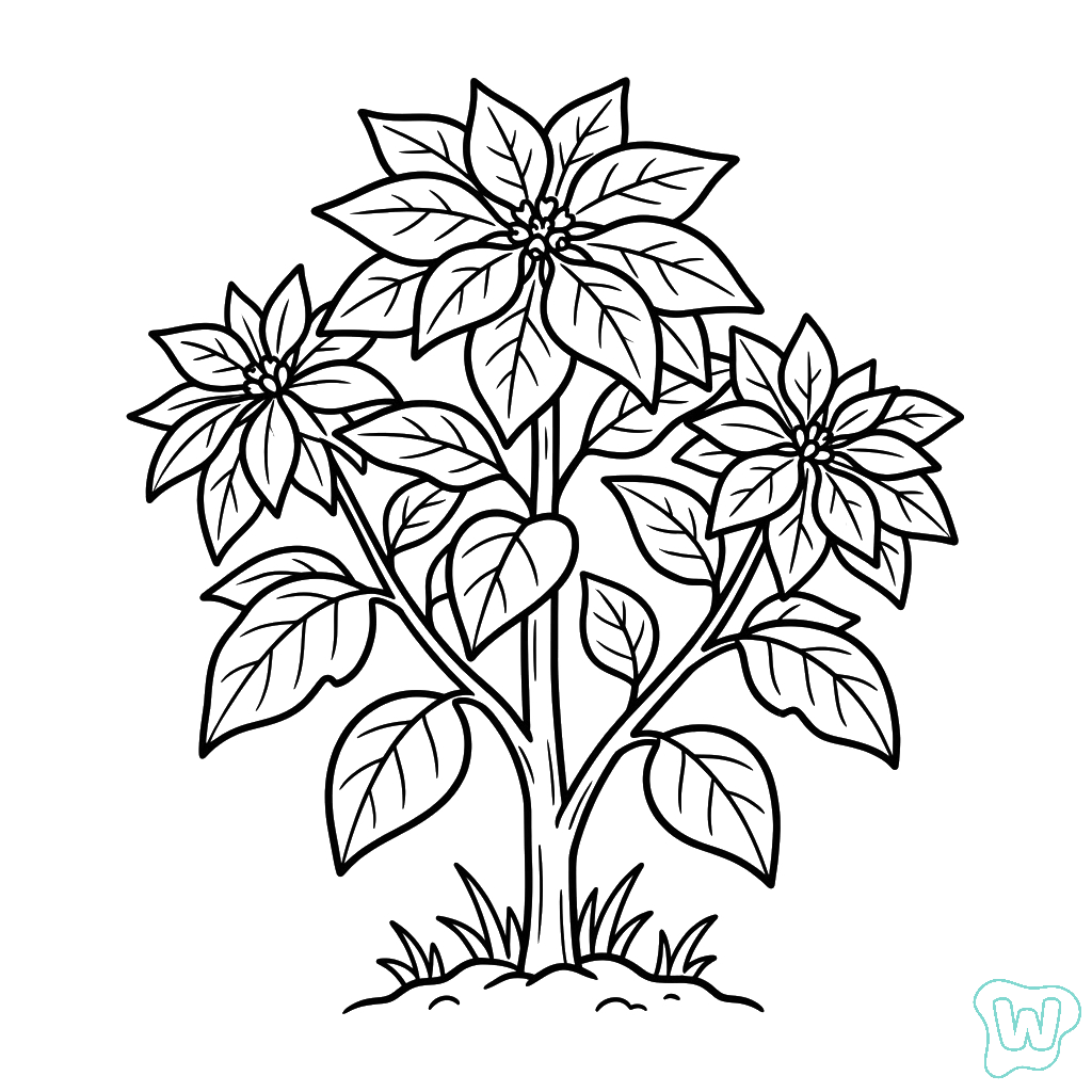 páginas para colorear de preescolar Flor de Pascua