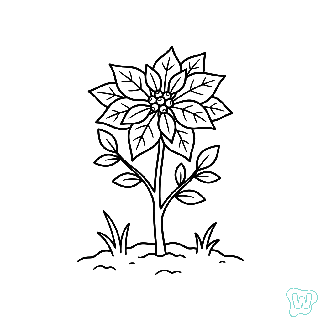 Flor de Pascua páginas para colorear pdf