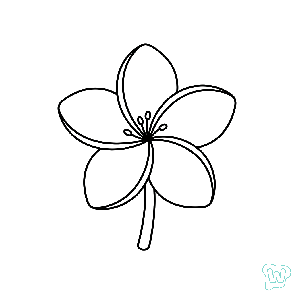 páginas para colorear Frangipani