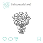 Frangipani thumbnail