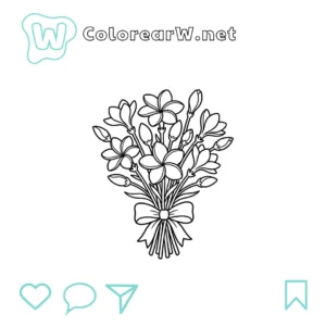 Frangipani thumbnail