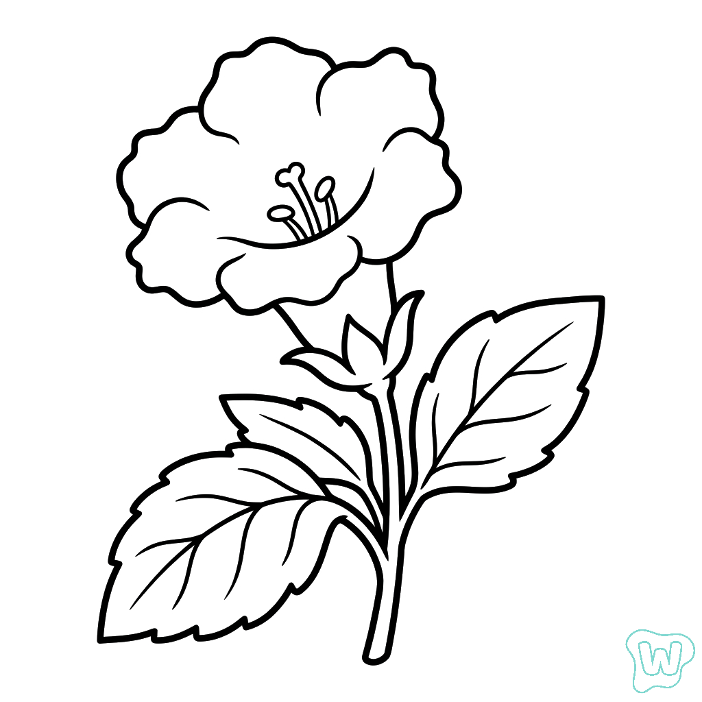 páginas para colorear gratis para adultos Gloxinia