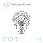 Miniature de Gloxinia