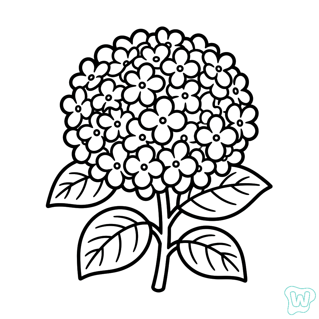 páginas para colorear gratis para adultos Hortensia